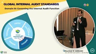 Miniature : Governing the Internal Audit Function   IIA Global Audit Standards Domain III