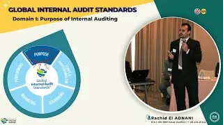 Miniature : Domain 1   The Purpose of Internal Audit   IIA Global Audit Standards