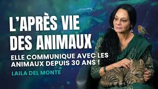 Miniature : L'après vie de nos animaux : que y-a-il après la mort ? - selon Laila Del Monte