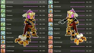 Miniature : DOFUS, J'AI (ENCORE) TOUS LES  METIERS NIVEAUX 200