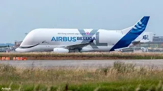 Miniature : Sixième et dernier Beluga XL pour Airbus