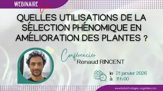 Miniature : AFBV Webinaire#14 - Quelles utilisations de la sélection phénomique en amélioration des plantes ?