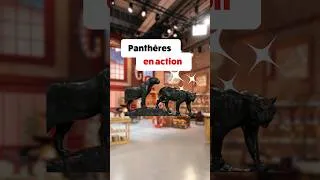 Miniature : Panthères en action⎮Affaire Conclue #affaireconclue #francetelevisions #tv #art