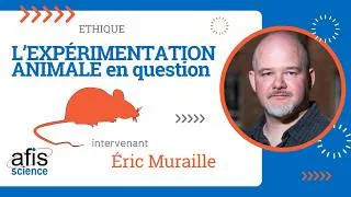 Miniature : L'expérimentation animale en question
