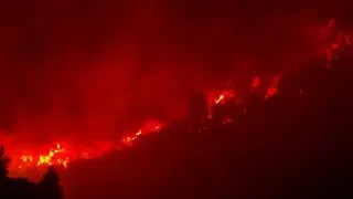 Miniature : IMAGES | Algérie: feux de forêt dans des communes près de Blida