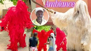 Miniature : KANKOURANG : L’AMBIANCE EST INCROYABLE  😱🇸🇳 C’EST ÇA, LA VRAIE CULTURE SÉNÉGALAISE ...