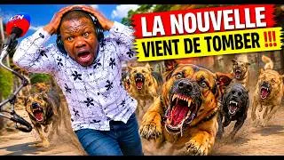 Miniature : BREAKING NEWS / LES NOUVELLES DU MATIN.