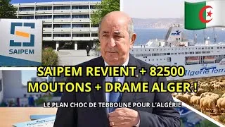 Miniature : ACTU ALGÉRIE : Retour de SAIPEM + 82500 moutons arrivés + Drame à Alger !