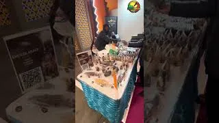 Miniature : L’Outre-Mer et l’Afrique au Salon International de l’agriculture 2026 