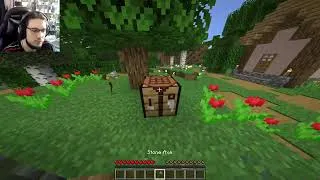 Miniature : je joue le minecraft
