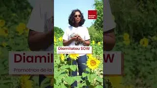 Miniature : Avantages de l'huile de tournesol