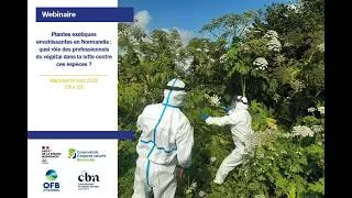 Miniature : [Webinaire] Plantes EE : quel rôle des professionnels du végétal dans la lutte contre ces espèces ?