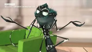 Miniature : Se protéger du moustique tigre