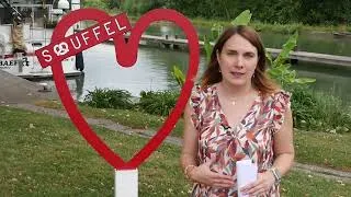 Miniature : Lutte contre le moustique tigre par l'ARS Grand Est. Exemple à Souffelweyersheim