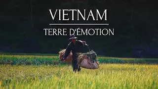 Miniature : [Vidéo exclusive] VIETNAM - TERRE D'ÉMOTION : Un voyage d’inspiration signé Vietnam Découverte