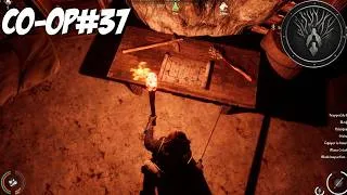 Miniature : Conspiration contre le ROI ?! - MEDIEVAL DYNASTY en Co-Op (multi) EP37