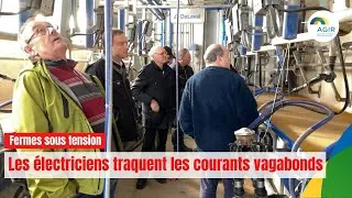 Miniature : Courants vagabonds: les électriciens se forment pour protéger les fermes
