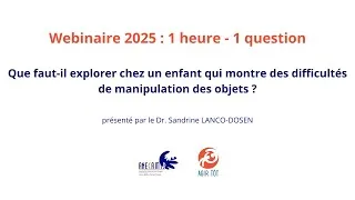 Miniature : Webinaire Que faut-il explorer chez un enfant qui montre des difficultés de manipulation des objets?