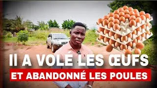 Miniature : L’ouvrier a volé les œufs et a abandonné la ferme en pleine nuit !