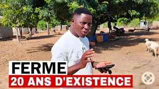 Miniature : À la découverte d’une ferme de plus de 20 ans d’existence au nord Togo ! 
