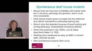 Miniature : Conférence magistrale de la Pre Karen Steel, Grand Prix Scientifique 2026