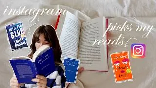 Miniature : letting my instagram followers pick the books i read