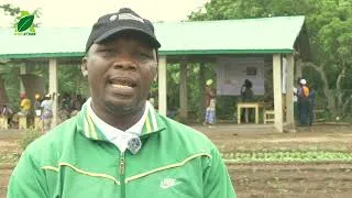 Miniature : Les clarifications de Djalal ARINLOYE, Directeur Pays de ICRAF Bénin sur le projet Innocsab
