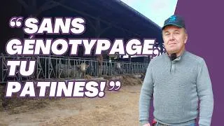 Miniature : Innover pour performer : le choix du génotypage en élevage allaitant