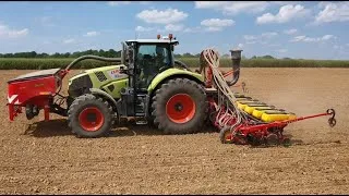 Miniature : Semis de maïs / VÄDERSTAD TEMPO V12 + Trémie frontale / Axion 810