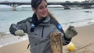 Miniature : Lucie, apprentie BTS GPN, remporte la 2ème place au concours "Filme ton job" !