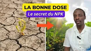 Miniature : La bonne DOSE : La vérité sur la Fertilisation en Agriculture.
