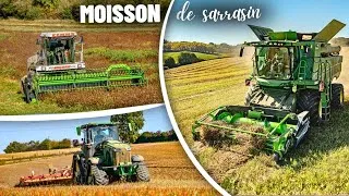 Miniature : MOISSON DE SARRASIN DECOMPOSÉ DANS LE GERS - Zworld