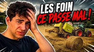 Miniature : Foin au moi de Mai (ça va mal !)