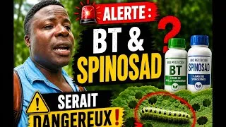 Miniature : 🚨 ALERTE : Les 2 biopesticides les plus utilisés au monde poseraient un sérieux problème aujourd'hui