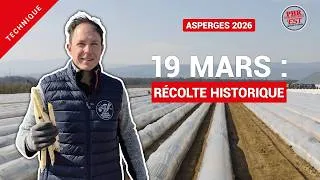 Miniature : Asperges d'Alsace : pourquoi la saison démarre si tôt cette année ?