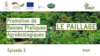 Miniature : Promotion des bonnes pratiques agroécologiques : Episode 2 | LE PAILLAGE (Kabyè)