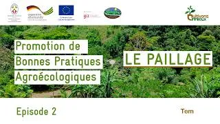 Miniature : Promotion des bonnes pratiques agroécologiques : Episode 2 | LE PAILLAGE (Tem)