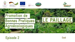 Miniature : Promotion des bonnes pratiques agroécologiques : Episode 2 | LE PAILLAGE (Ewé)