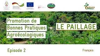 Miniature : Promotion des bonnes pratiques agroécologiques : Episode 2 | LE PAILLAGE  (Français)
