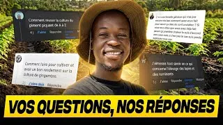 Miniature : J’ai répondu à vos questions ! (Q&A complet)