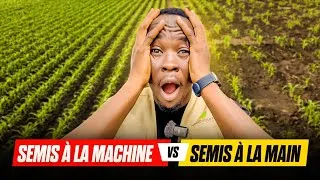 Miniature :  Semis à la main ou à la machine ? Le résultat va te surprendre 