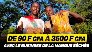 Miniature : “Comment lancer ton business de mangue séchée de A à Z”