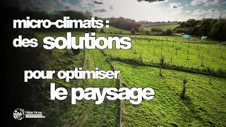 Miniature : Des SOLUTIONS pour OPTIMISER le paysage ? Tour de terrain et microclimats