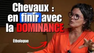 Miniature : Comprendre les émotions de nos chevaux pour comprendre leurs comportements