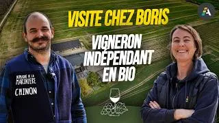 Miniature : De la vigne à la bouteille : témoignage de Boris, vigneron indépendant