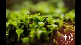 Miniature : Le sol, source de vie saine