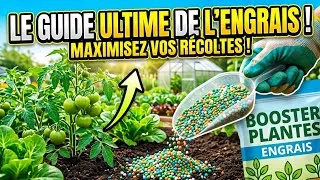 Miniature : COMMENT AVOIR DE BONS RÉSULTATS AVEC LES ENGRAIS 