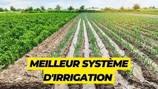 Miniature : MEILLEUR TECHNIQUE D'IRRIGATION