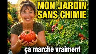 Miniature : Jardiner Sans Pesticides : Les 4 Méthodes Naturelles Qui Transforment Votre Jardin
