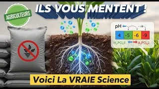 Miniature : Les Secrets de la Nutrition des Plantes Révélés !
